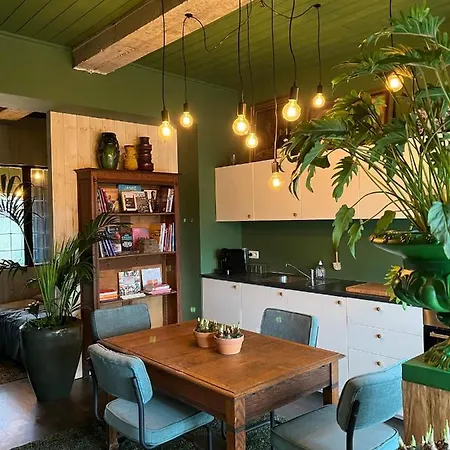 Plantkot -boekenkot -kunstkot En Kot *